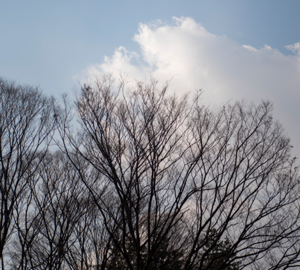 평년보다 다소 포근하지만… 2026년 2월, 초반 한파·곳곳 눈·큰 일교차 주의