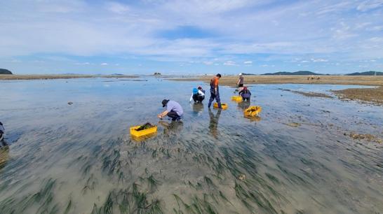 인천시, 해양생태계 활용한 블루카본으로 탄소배출권 확보한다