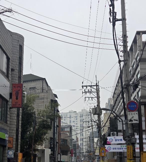 강남구, '청담 맛의 거리' 전선 지중화 확정…내년 착공 예정