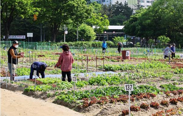 남동구, 2026년 남동 실버농장 참여자 모집 