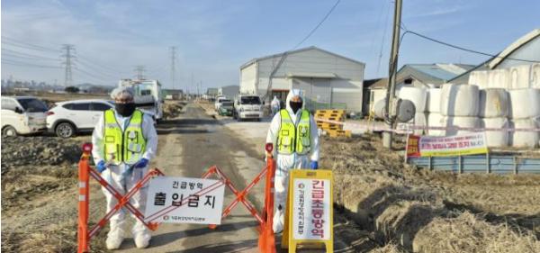 고양시, 두 번째 구제역 발생…확산 차단 총력