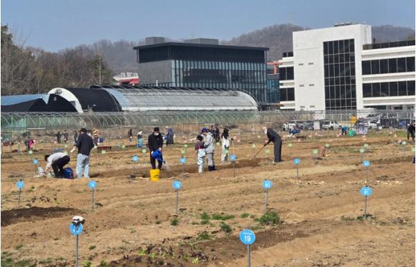 광명시, 도심 속 힐링 공간 ‘시민주말농장’ 본격 개장