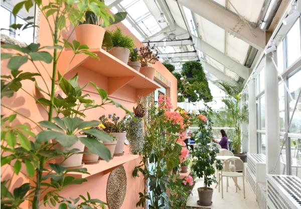 노원구 제1호 힐링타운의 진화, 여기서 끝이 아니다?! 노원구, 불암산 '정원지원센터, 카페 4rest' 재개관