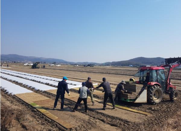 강화군, “못자리 설치는 4월 25일 이후에 하세요”