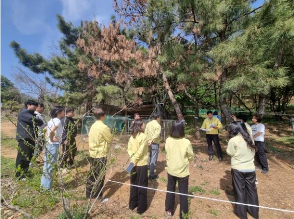 시흥시 첫 소나무재선충병 발생. 경기도 긴급방제대책회의 열고 대책 논의