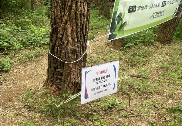 인천 서구, 러브버그 선제적 대응 및 집중 방제기간 운영
