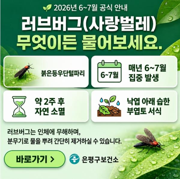 은평구, 러브버그 대응 체계 강화…주민 불편 최소화 나선다